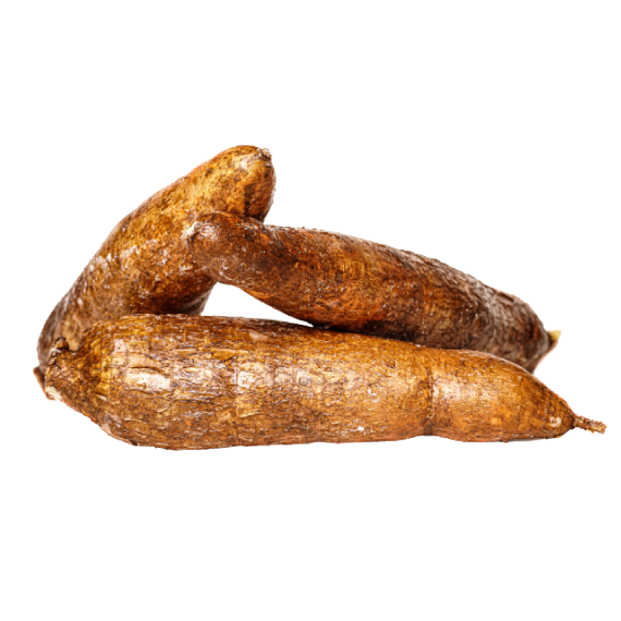 Cassava