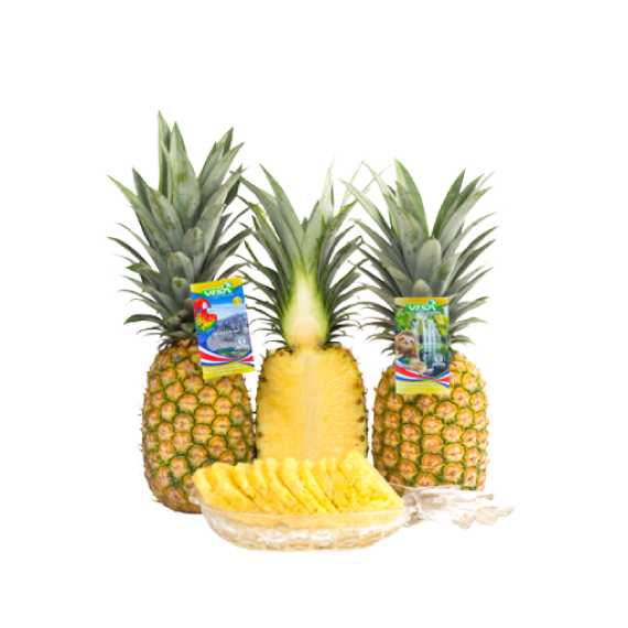 Fresh Pineapple