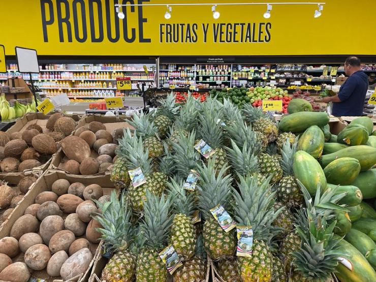 Visafruit: Redefining Pineapple Import in North America