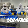 VisaFrost factory