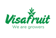 Visafruit | Import Tropical Fruits